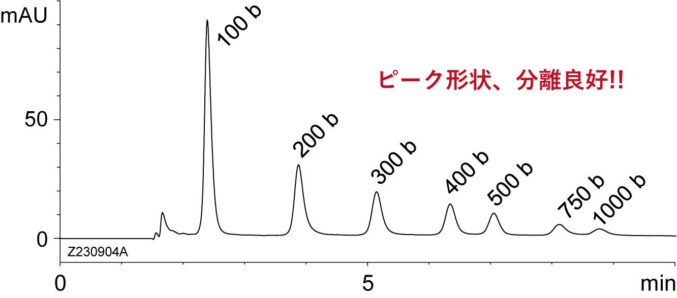 RNA marker 分离条件比较