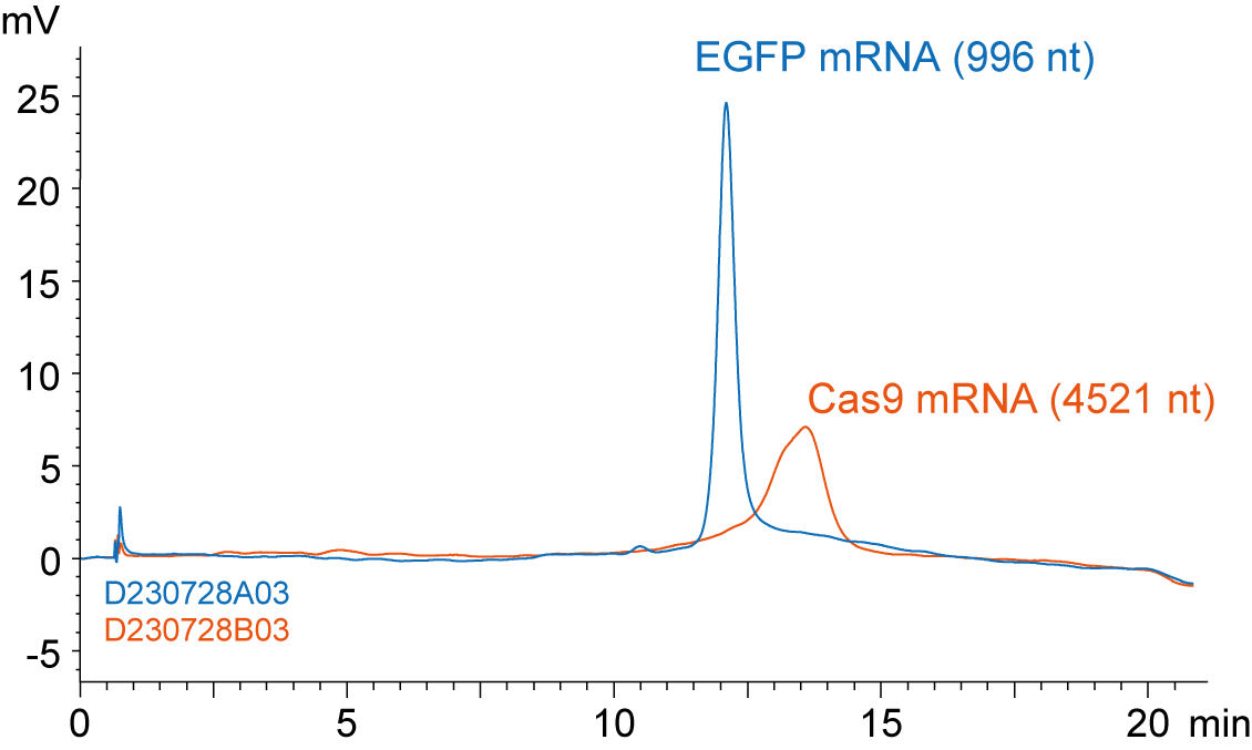 不同长度 mRNA 的反相分离